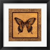Crackled Butterfly - Swallowtail Framed Print