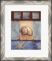 Framed Aquamarine Snail