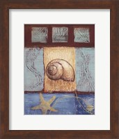 Framed Aquamarine Snail