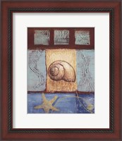 Framed Aquamarine Snail