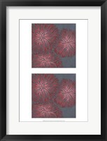 2-Up Dianthus I Framed Print