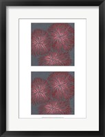 Framed 2-Up Dianthus II