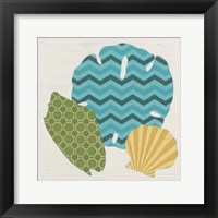 Shell Patterns I Framed Print