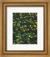 Framed Green Thicket II