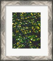 Framed Green Thicket II