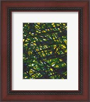 Framed Green Thicket II