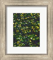 Framed Green Thicket II