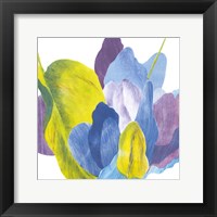 Framed False Indigo III