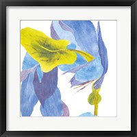 Surprise Indigo III Framed Print