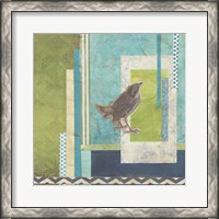 Framed Avian Scrapbook II