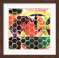 Framed Honey Comb II