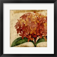Framed Vibrant Floral III