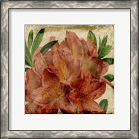 Framed Vibrant Floral VII