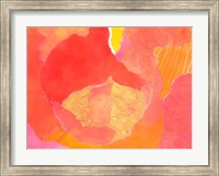 Framed Cabbage Rose II