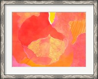 Framed Cabbage Rose II