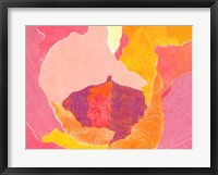 Cabbage Rose VI Framed Print