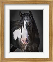 Framed Horse Portrait II