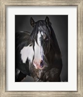 Framed Horse Portrait II