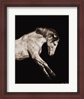 Framed Horse Portrait IV