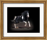 Framed Horse Portrait VIII