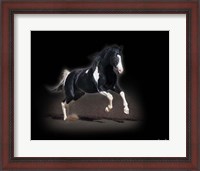 Framed Horse Portrait VIII