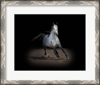 Framed Horse Portrait IX