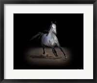 Framed Horse Portrait IX