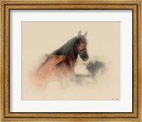 Framed Horse Portrait X