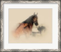 Framed Horse Portrait X
