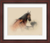Framed Horse Portrait X