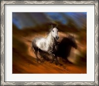 Framed Blazing Horse III