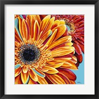 Color Bursts II Framed Print