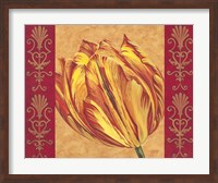 Framed Tulip Power I