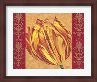 Framed Tulip Power I