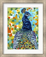 Framed Plumed Peacock II