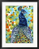 Framed Plumed Peacock II