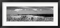 Framed Shore Panorama III