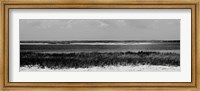 Framed Shore Panorama IV