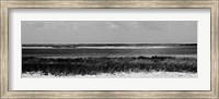 Framed Shore Panorama IV