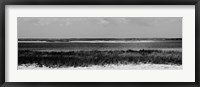 Shore Panorama IV Framed Print