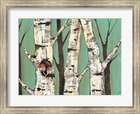 Framed Birch Grove on Teal I