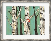 Framed Birch Grove on Teal II