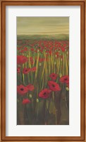 Framed Red Poppies in Field I