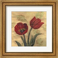 Framed Tulip on Wood
