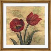 Framed Tulip on Wood