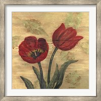 Framed Tulip on Wood