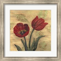 Framed Tulip on Wood