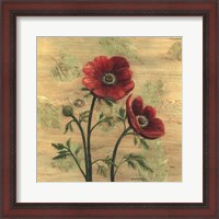 Framed Anemone on Wood