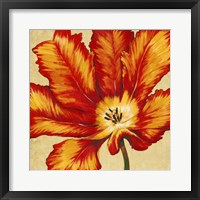 Framed Parrot Tulip II