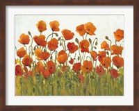 Framed Rows of Poppies I